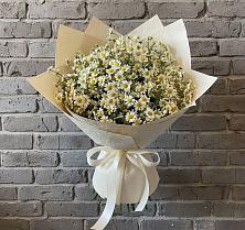 Букет цветов из:  Ромашки в Борисово