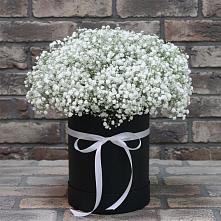 Цветочная композиция из Гипсофила в шляпной коробке в Борисово