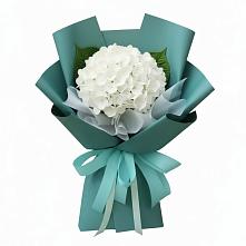 Букет цветов из:  Гортензия в Борисово